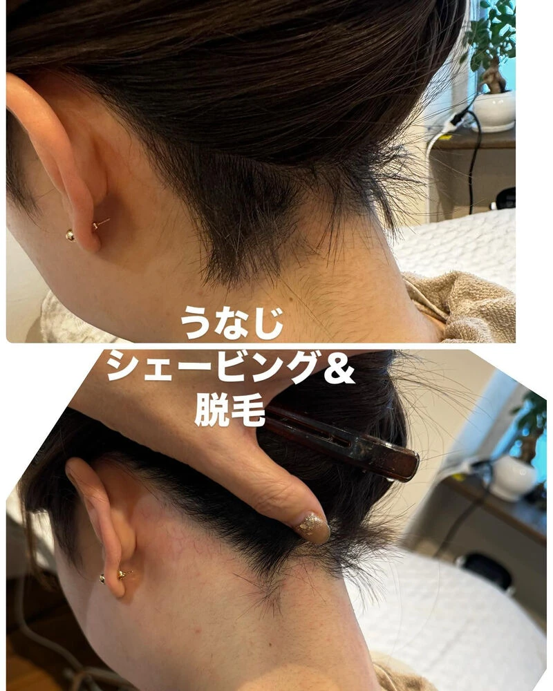 ブログ